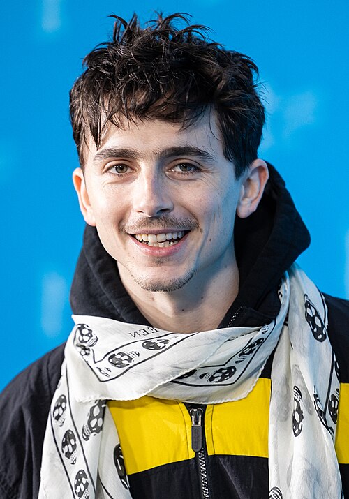 Portrait de Timothée Chalamet