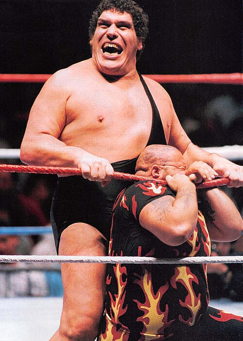 Portrait de André The Giant