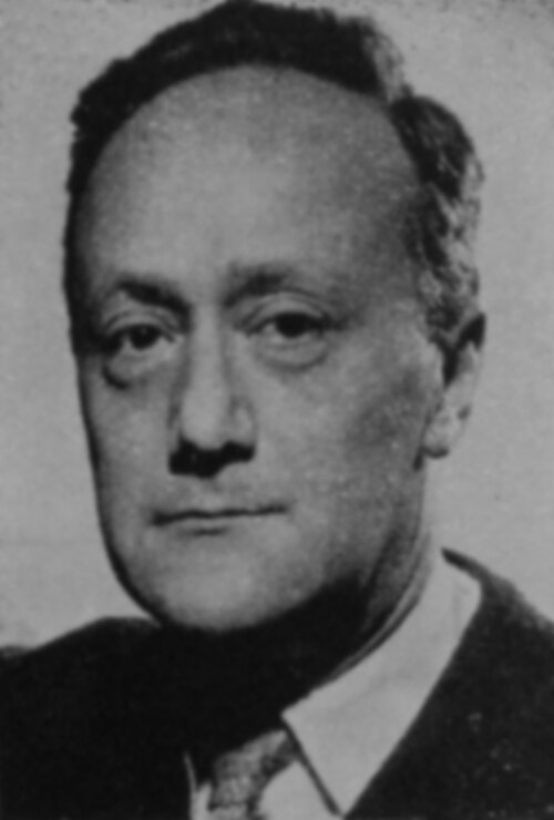 Portrait de Kazimierz Brandys