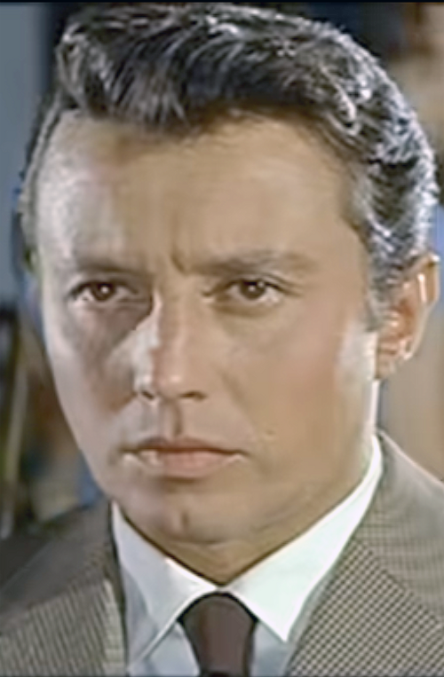 Portrait de Michel Auclair