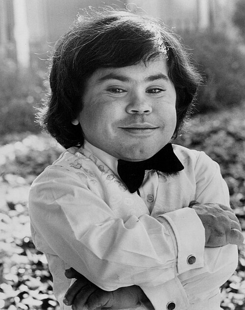 Portrait de Hervé Villechaize